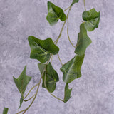 Ivy (hedera helix) Garland, Green, 1.8m