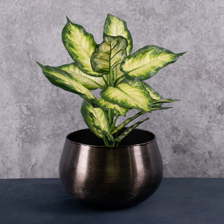 Dieffenbachia, Artificial, Green/White, 30x40cm, FR