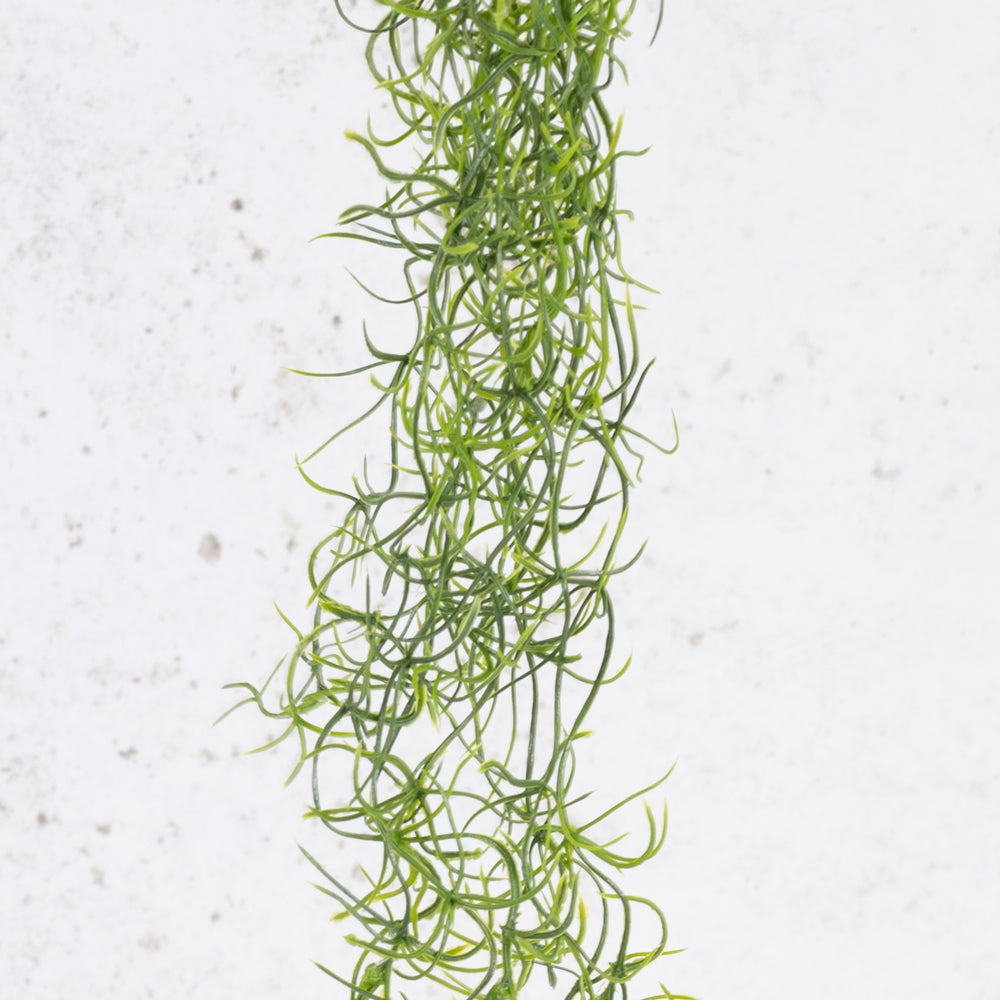 Tillandsia Hanger (Spanish Moss), Green, 115cm