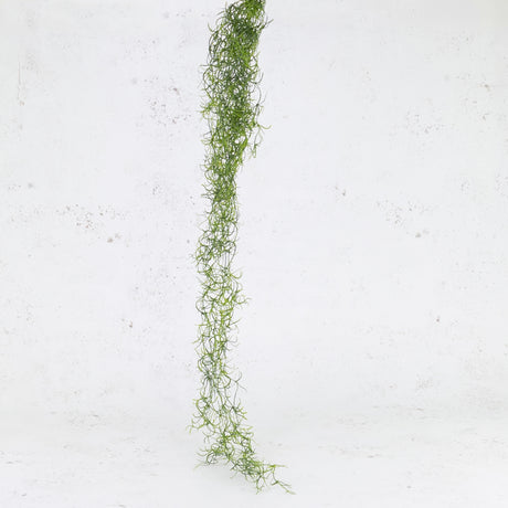 Tillandsia Hanger (Spanish Moss), Green, 115cm