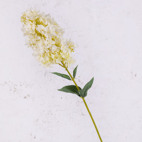 Hydrangea paniculata, Cream, 81cm, Faux
