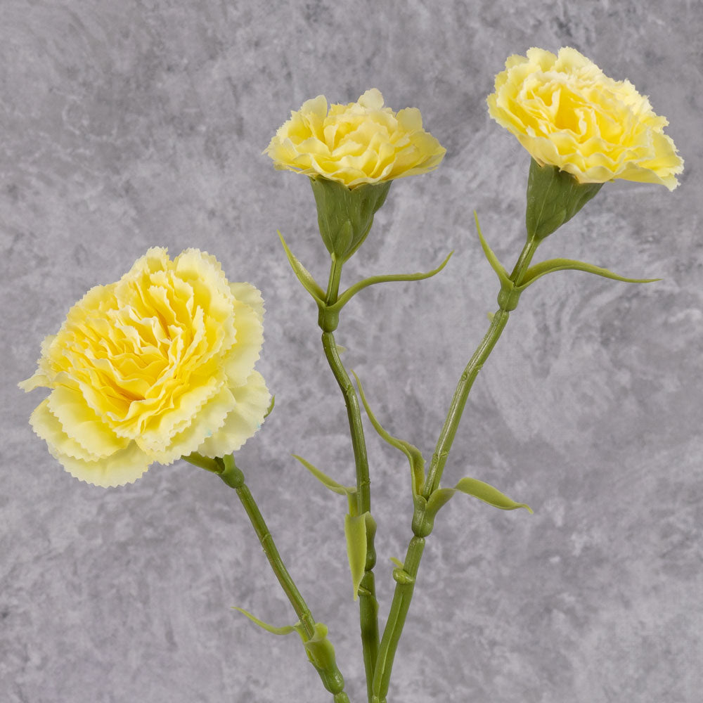 Carnation, Yellow, 60cm