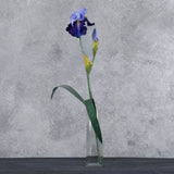 Iris Spray, De-Luxe, Blue/Lilac, 71cm