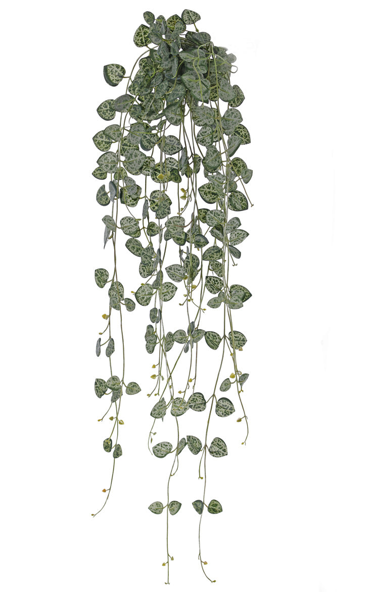 Ceropegia, (String of Hearts), Artificial, 70cm, UV, FR