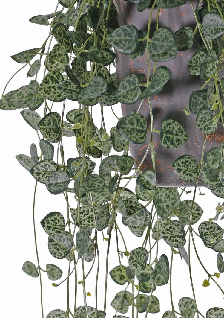 Ceropegia, (String of Hearts), Artificial, 70cm, UV, FR