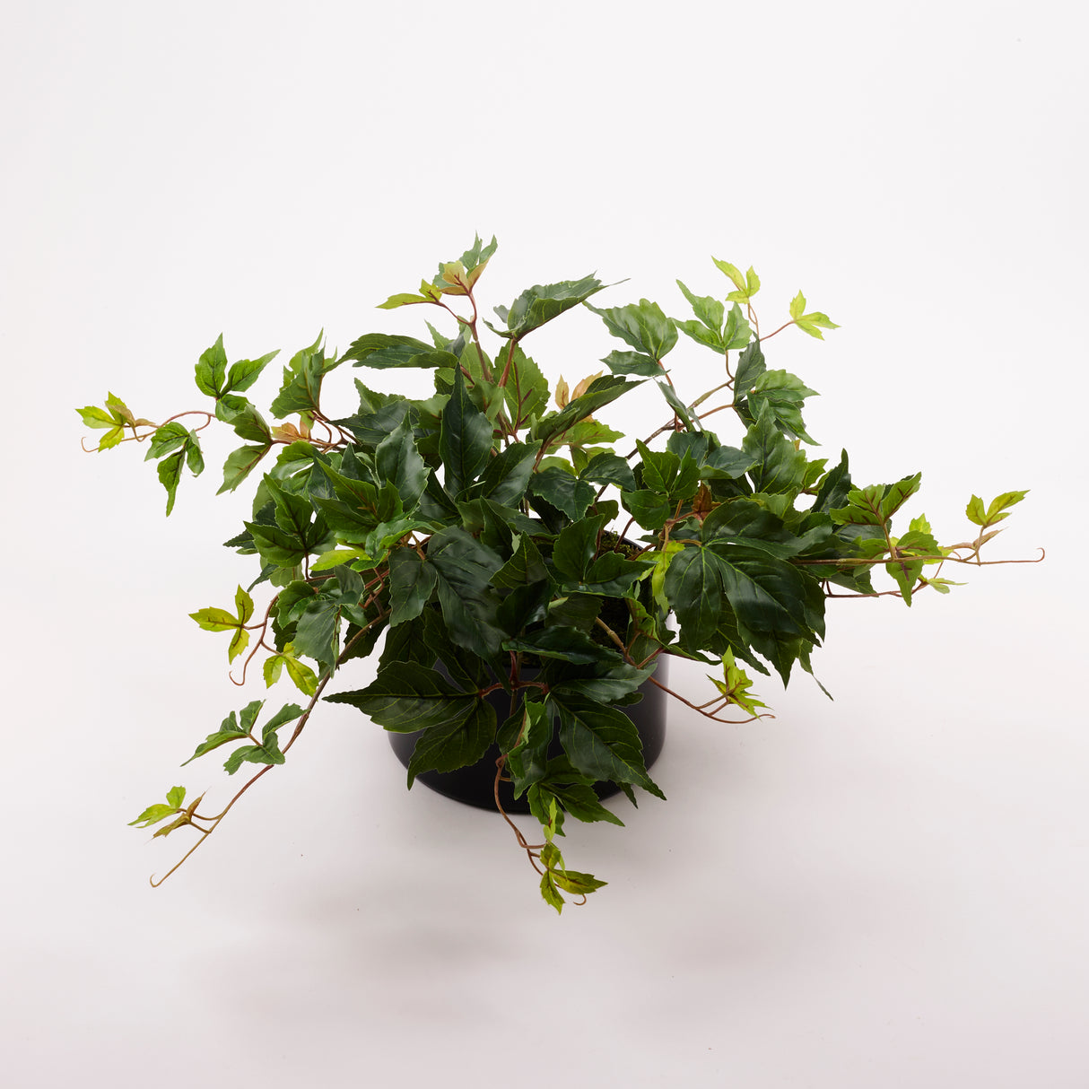 Parthenocissus (Virginia Creeper), Artificial, 50x30cm, UV, Recycled