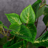 Coleus Bush, Artificial, Green, 54cm, UV
