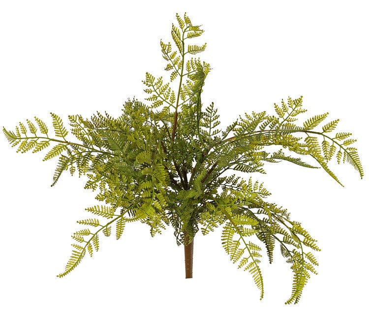 Wood Fern (Dryopteris), Artificial, H40cm