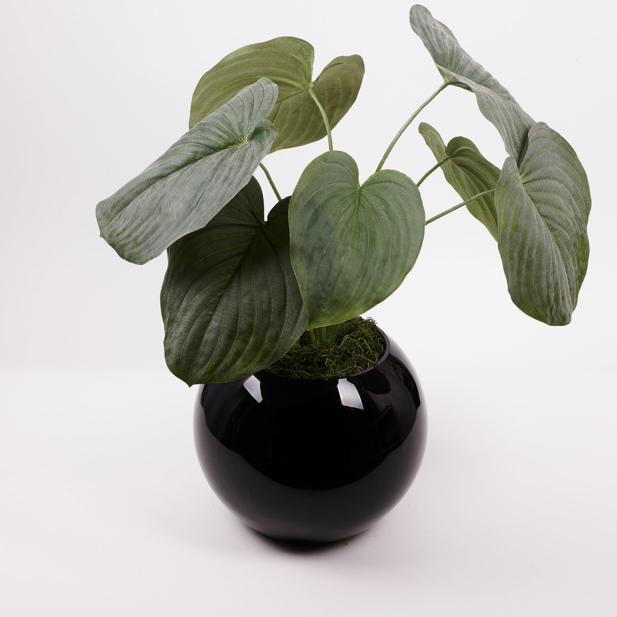 Hosta plant, (Heart Lily), Artificial, Large, 66cm