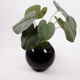 Hosta plant, (Heart Lily), Artificial, Large, 66cm