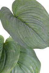 Hosta plant, (Heart Lily), Artificial, Large, 66cm