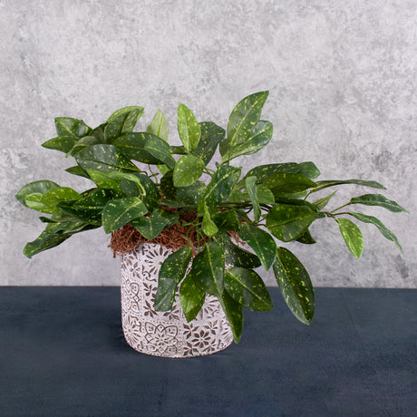 Artificial Hoya plant, (Waxflower)