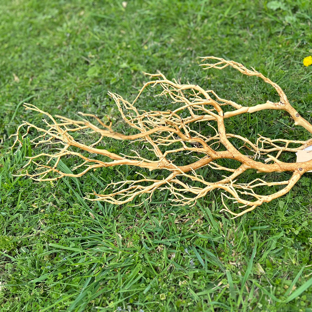 Deadwood Branch, Artificial, Brown, 105cm