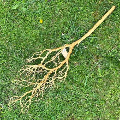 Deadwood Branch, Artificial, Brown, 105cm