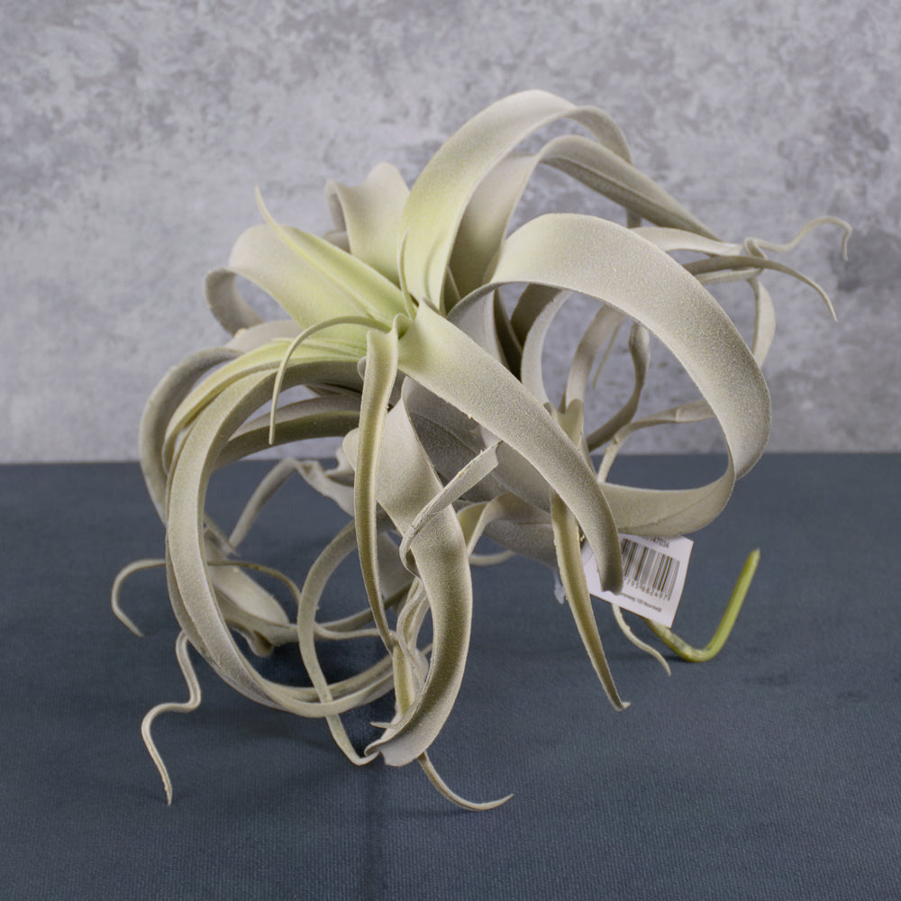 Tillandsia Plant, Artificial, Grey, D25cm