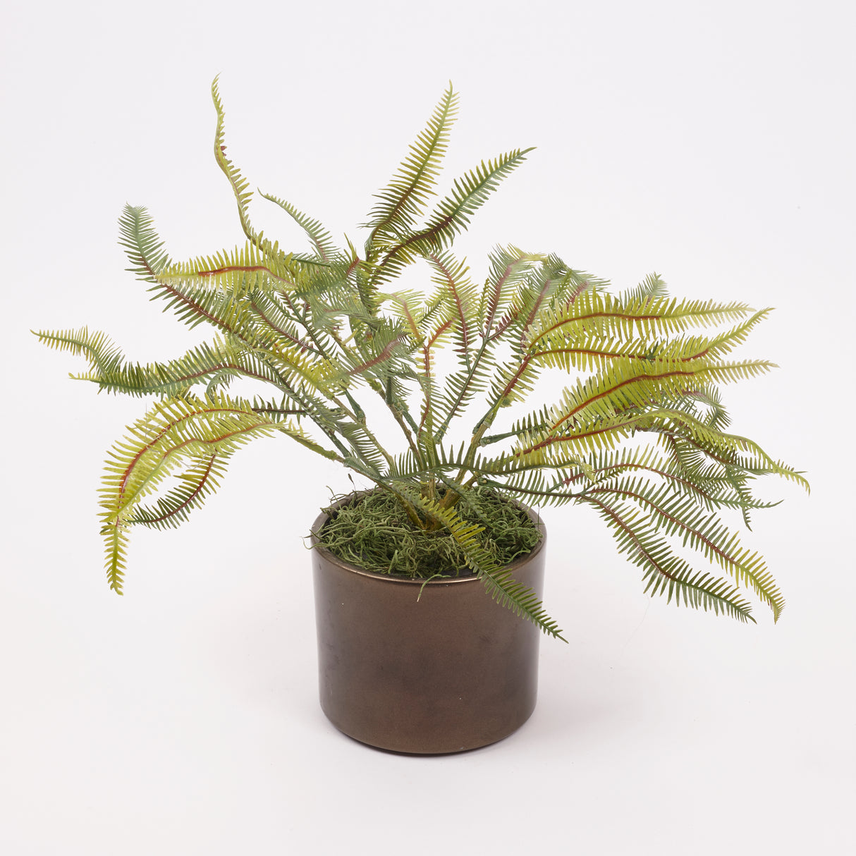 Fern, Dragon Tail, Artificial, 50cm