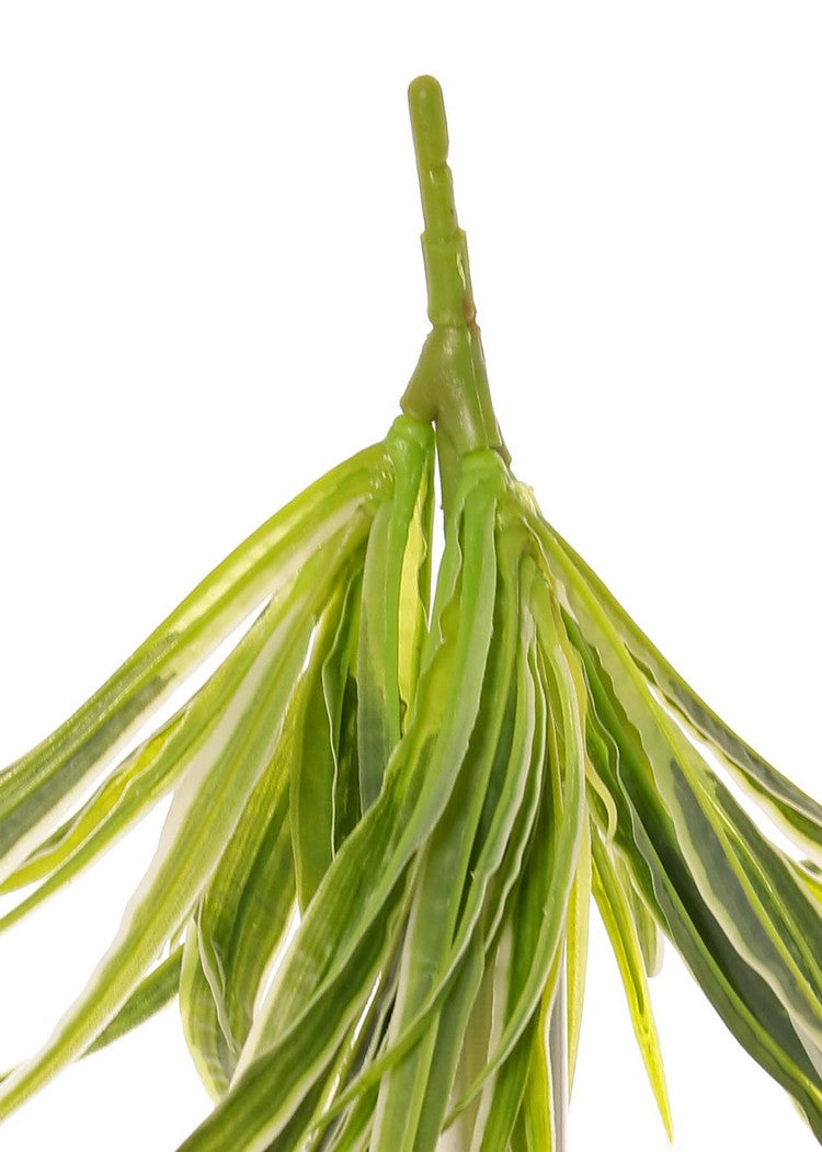 Spider Plant, Green and White Variegated Leaves, Artificial, H30cm