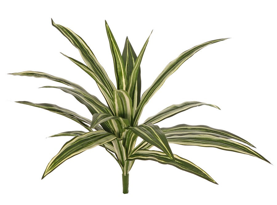 Dracaena Plant, Artificial, Variegated Leaves, diameter 50cm FR