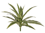 Dracaena Plant, Artificial, Variegated Leaves, diameter 50cm FR