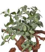 Fittonia Bush, Artificial, 33cm FR