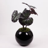 Ligularia dentata, Artificial, Green/Red, 86cm