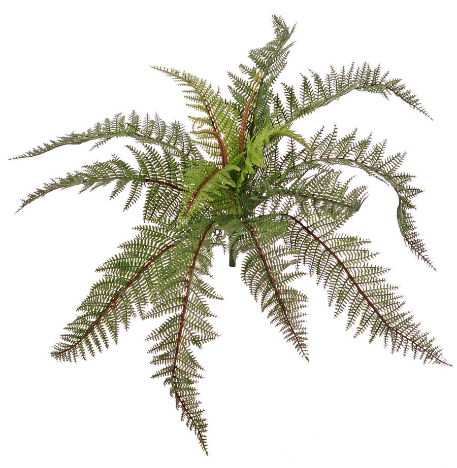 Needle Fern (Polystichum), Artificial, H58cm