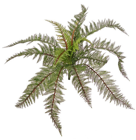 Needle Fern (Polystichum), Artificial, H58cm