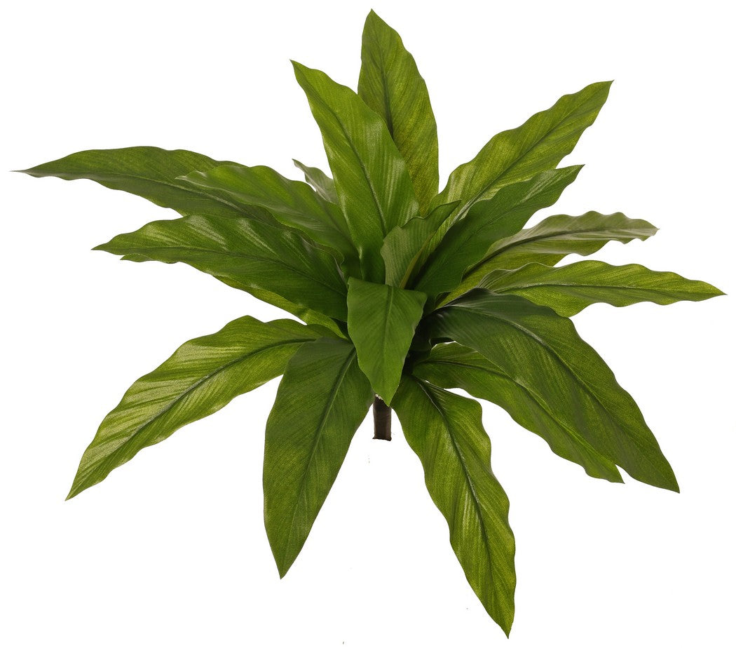 Nest Fern (Asplenium), Artificial, H25cm