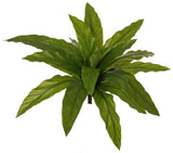 Nest Fern (Asplenium), Artificial, H25cm