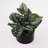 Scindapsus bush (Epipremnum), Artificial, H35cm, FR