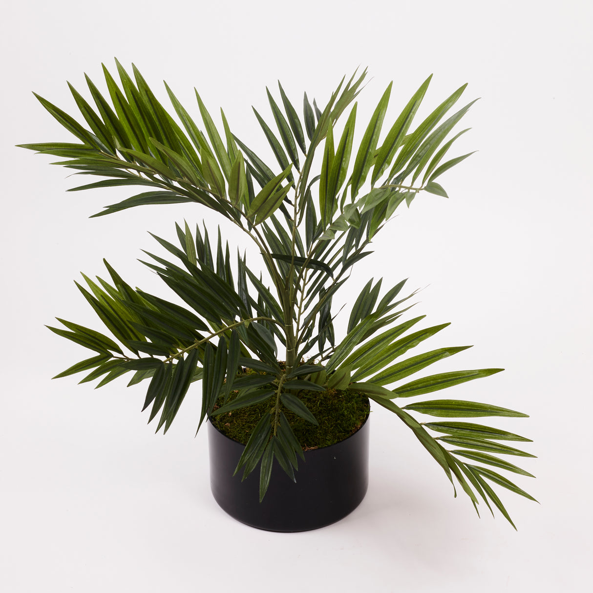 Parlour Palm (Chamaedora elegans), artificial, UV, 65cm