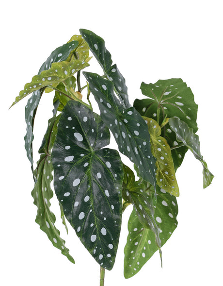 Begonia maculata, Artificial, Green, 38cm