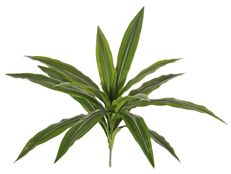 Dracaena Plant, Artificial, Green, diameter 50cm