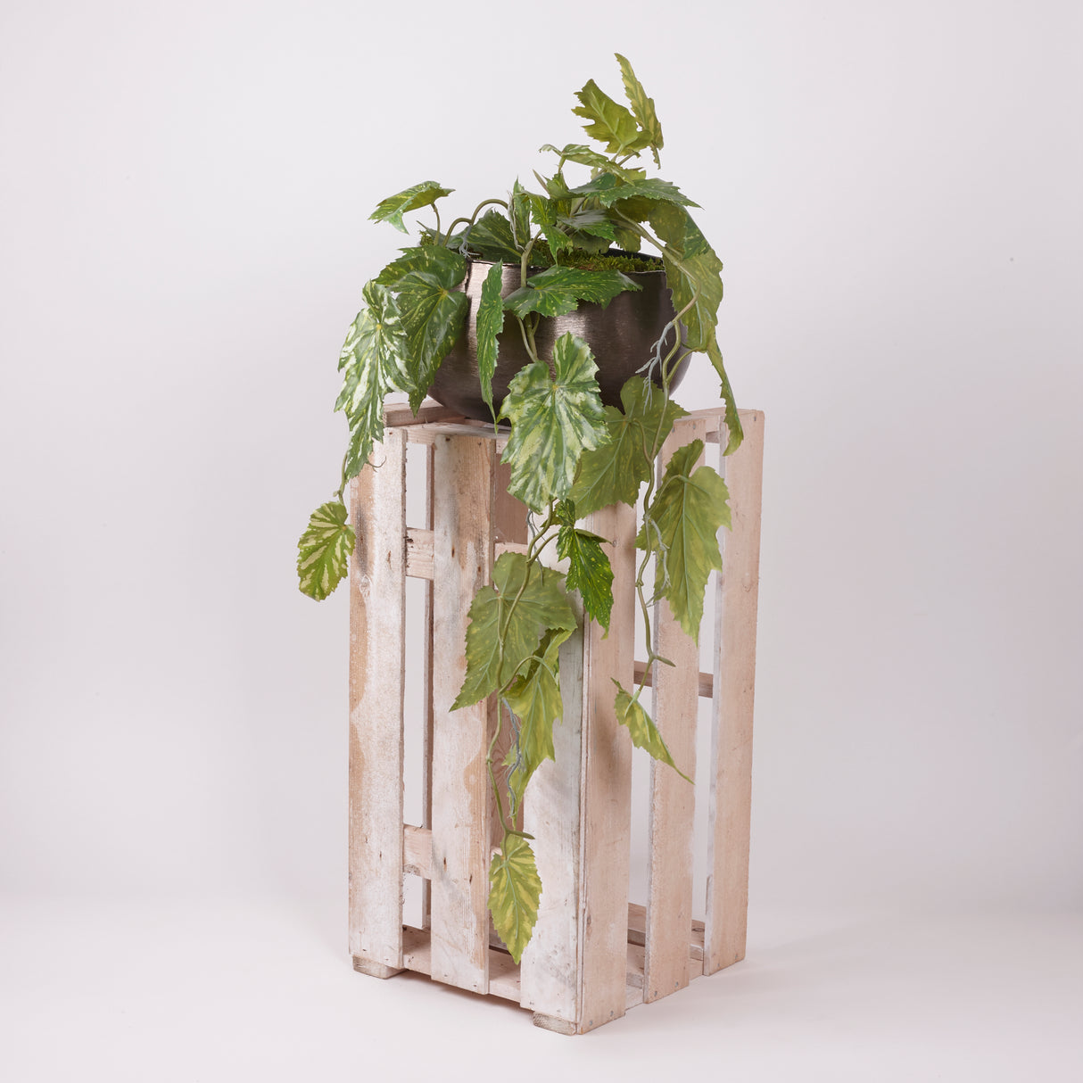 Begonia palmata, Hanging Plant, Artificial, Green, 90cm