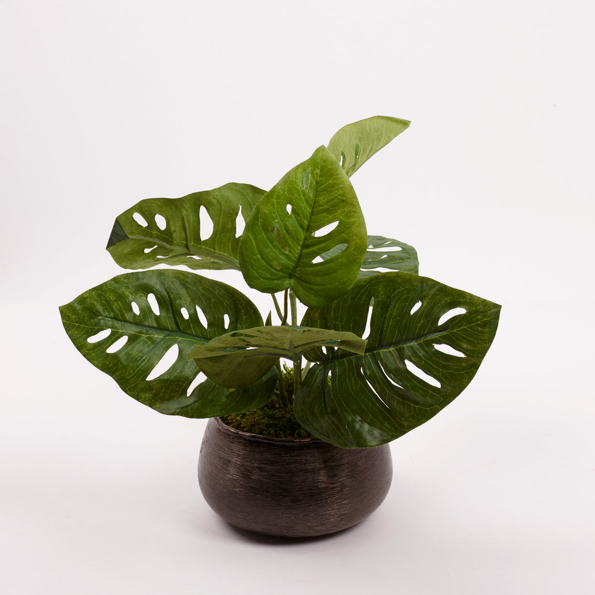 Monstera 'Monkey leaf' (Cheese Plant), Artificial, 30cm