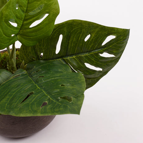 Monstera 'Monkey leaf' (Cheese Plant), Artificial, 30cm