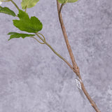 A close up of a faux stem and foliage and leaves from a viburnum spray