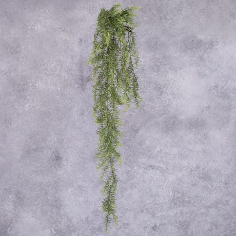 A single faux asparagus fern hanger, with different length fronds.