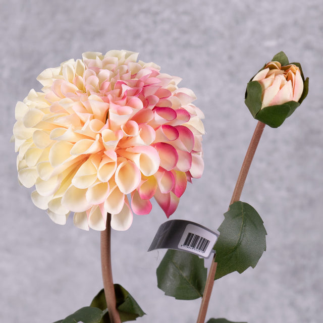 A close up of a faux cream and pink dahlia spray showing a full bloom and emerging bud