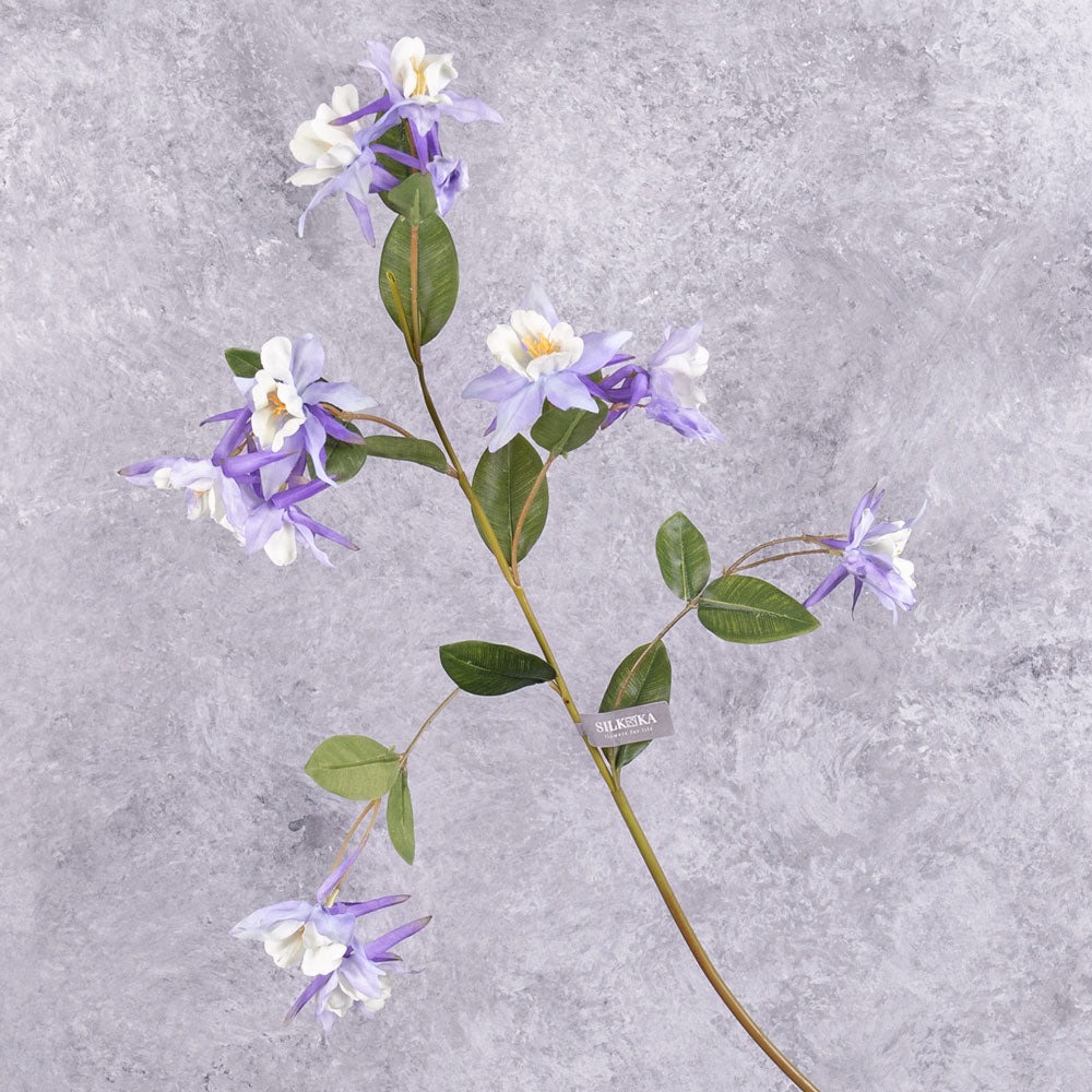 An aquilegia spray, with flowers in a lavender hue, and white centre, and leaves over several branchlets