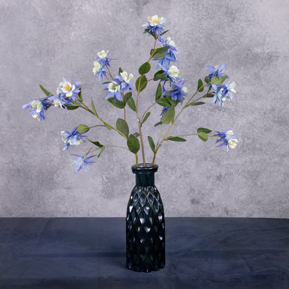 A group of three aquilegia sprays, with flowers in a blue hue, and white centre, shown in a glass blue vase