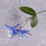 A close up of a pair of faux aquilegia flowers in a blue hue, and white centre