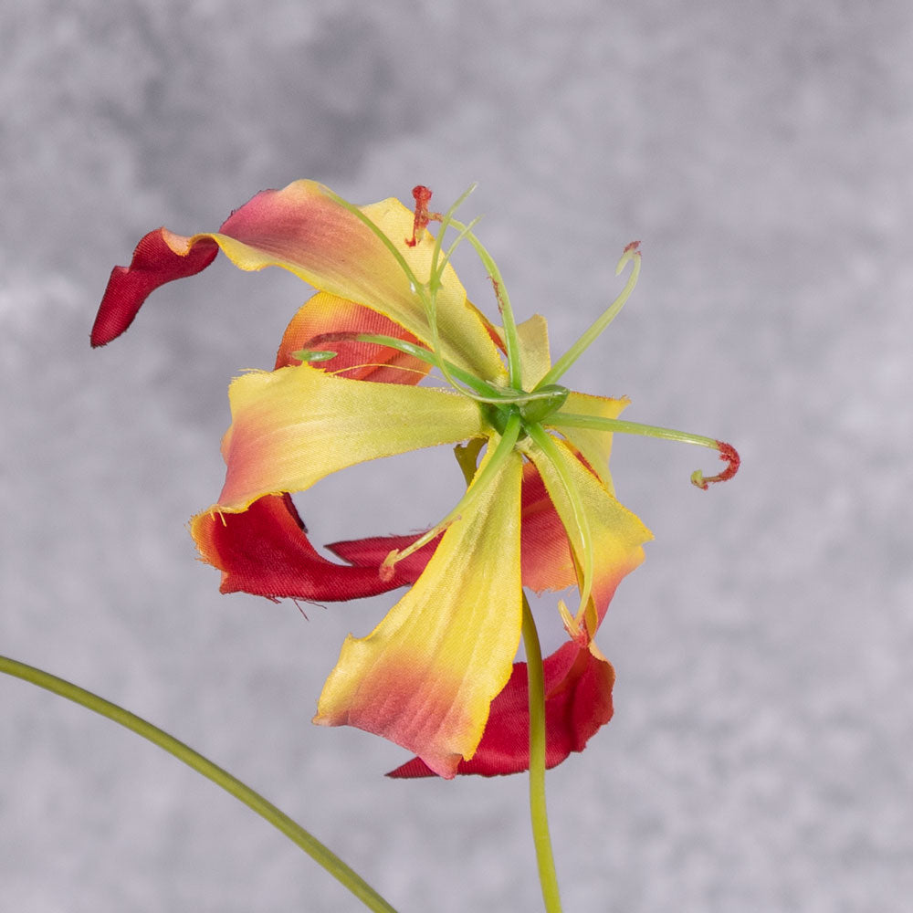 A close up of a faux gloriosa with a pink-yellow flower