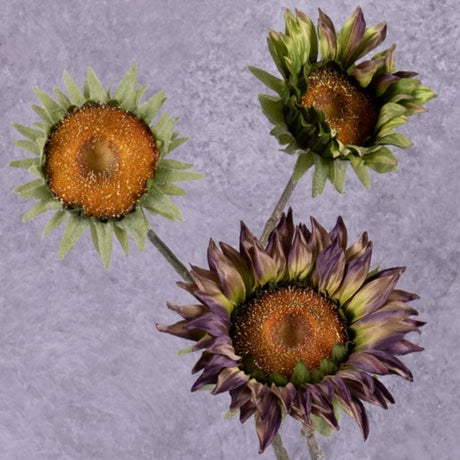 A faux sunflower spray in a muted purple colour, with tinges of green, showing three flowers