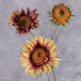 A faux sunflower spray in a soft yellow colour, with tinges of pink, showing three flowers