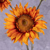 A close up of a single, faux, sunflower head in rich orange