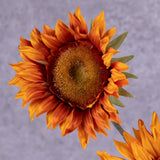 A close up of a single, faux, sunflower head in rich orange