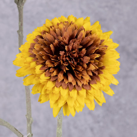 Close up shot of a faux sunflower head with fluffy looking petals in brown and orange