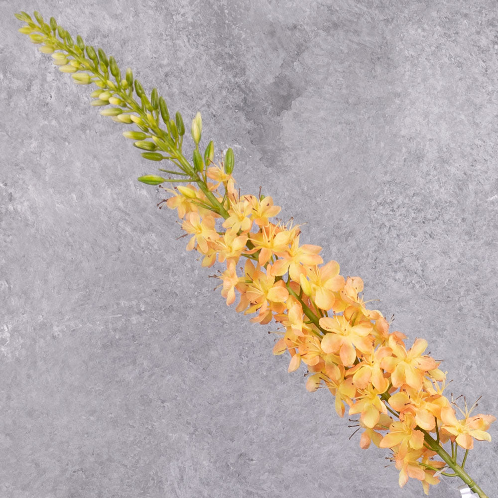 A close up of a faux peachy-yellow eremurus flower