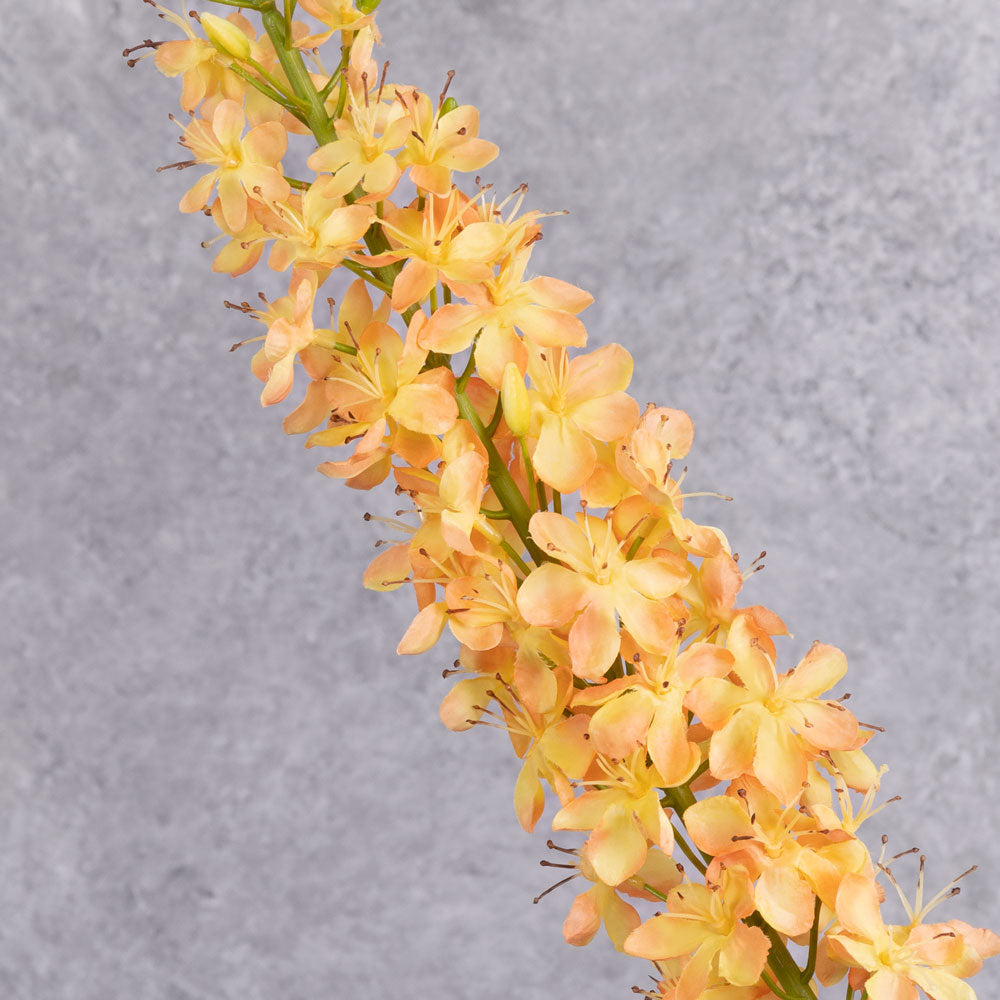 A close up of a faux peachy-yellow eremurus flower